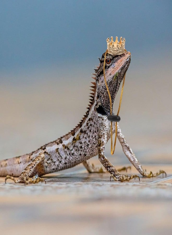BCOATH Reptile Crown Hat and Necklace Set for Small Pets - Lightweight Costume Accessory for Lizards Bearded Dragons Festival Photo Props - Image 2